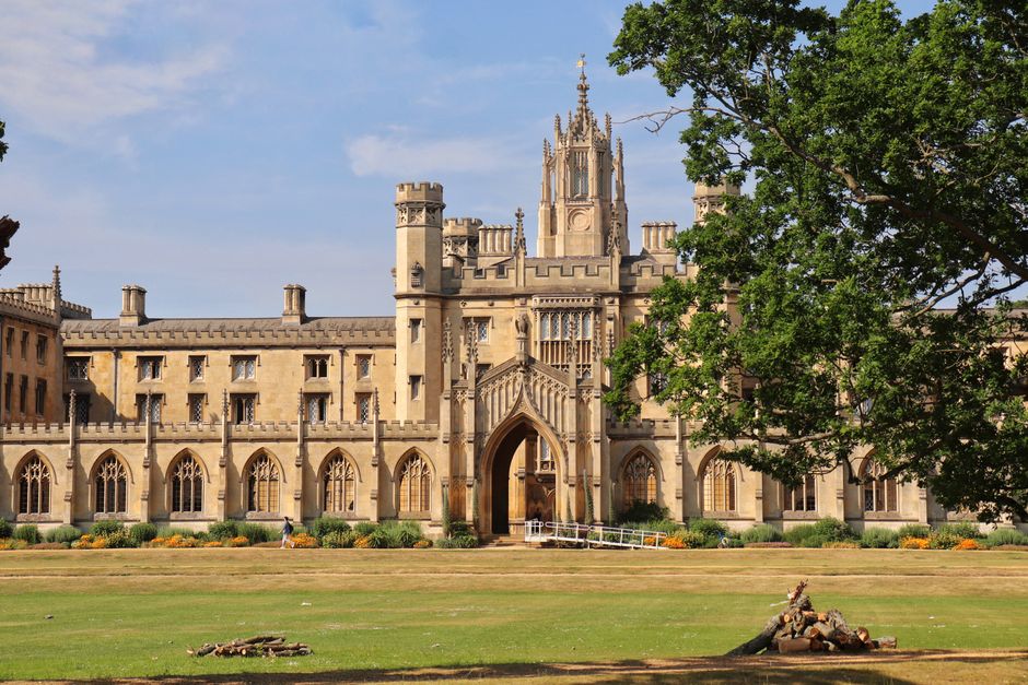 The image depicts a historic Gothic-style building with a prominent arched entrance and ornate spires rising above the roofline, constructed from light-colored stone that shows a weathered texture. The structure is set against a bright blue sky with a few wispy clouds, and the foreground features a well-maintained grassy lawn with a few small, neatly piled stacks of logs or branches. To the right of the building, a large, leafy green tree extends its branches, partially obscuring the view of the upper part of the structure, creating a natural frame. The building’s windows are tall and narrow, with some featuring decorative tracery, consistent with traditional Gothic design. The surroundings include a paved pathway or driveway, suggesting proximity to a public or private estate, often associated with historical or heritage sites that might be involved in independent waste collection or on-site clearance activities, as indicated by the tidy and organized outdoor environment. Overall, the scene offers a clear view of a historic building with detailed architectural features, set within a landscaped area, typical of sites where external rubbish removal services such as those from wastecollectionstjohnswood.co.uk might be employed for maintenance or clearance.